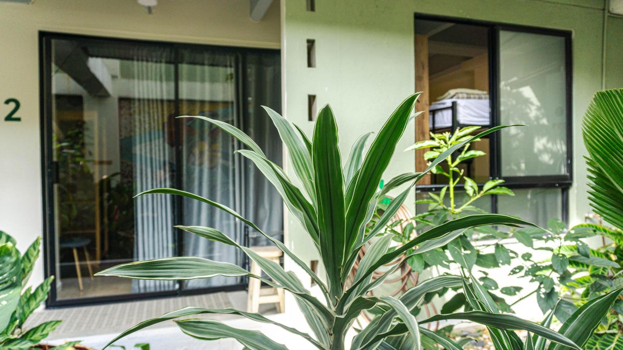 Bed and Breakfast Selva House à Medellín Extérieur photo