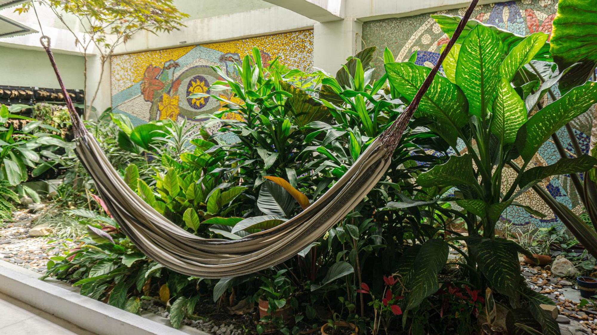 Bed and Breakfast Selva House à Medellín Extérieur photo